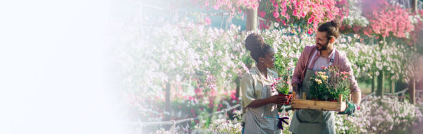 Florists working in a green house plan