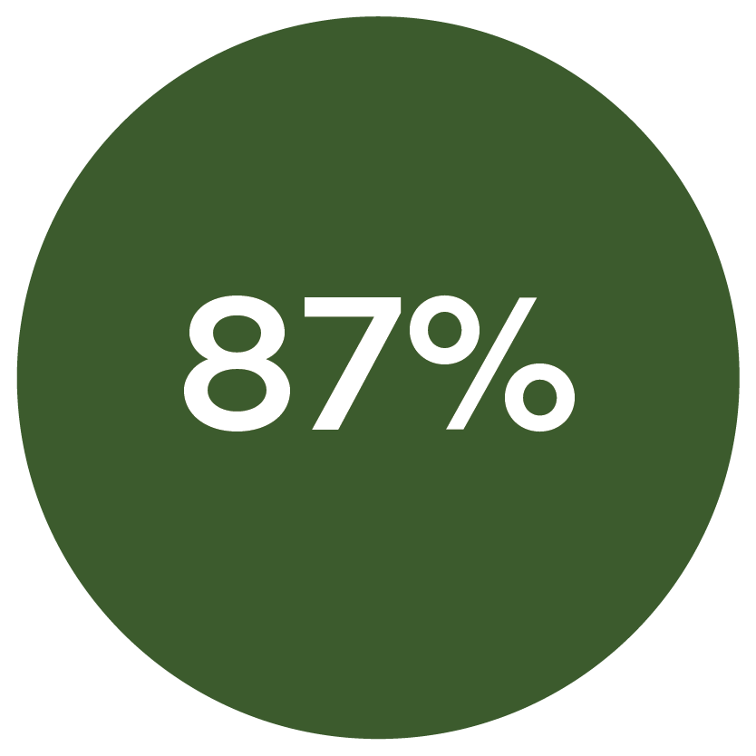87% icon