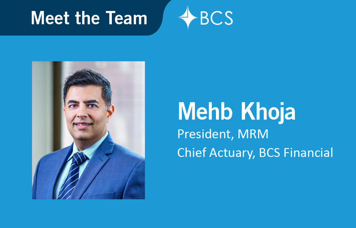 Meet the Team – Mehb Khoja